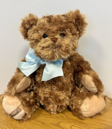 Pruun kaisukaru sinise lipsuga